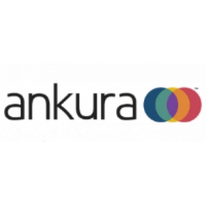 Ankura Consulting Group