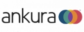 Ankura Consulting Group